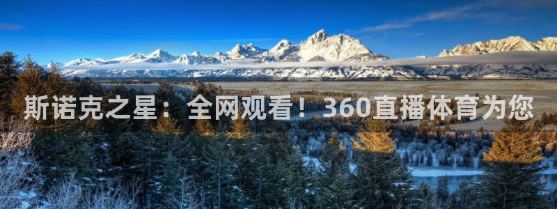 足球直播软件：斯诺克之星：全网观看！360直播体育为您